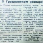 В Гродненском зоопарке // Гродненская правда. – 1947. – 23 авг. – С. 3.
