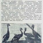 Яковлева, Т. Их полку прибыло / Т. Яковлева ; фото // Гродненская правда. – 1959. – 13 сент. – С. 3.