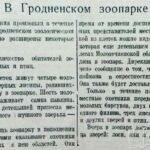 Овчаров, Н. В Гродненском зоопарке / Н. Овчаров // Гродненская правда. – 1950. –6 сент. – С. 3.