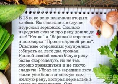 Слайд1