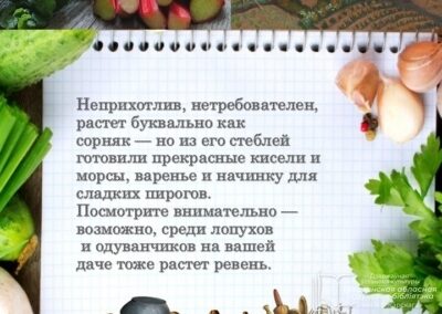 Слайд6