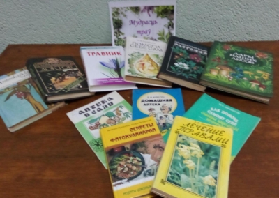 image - 2025-11-24T140231.369